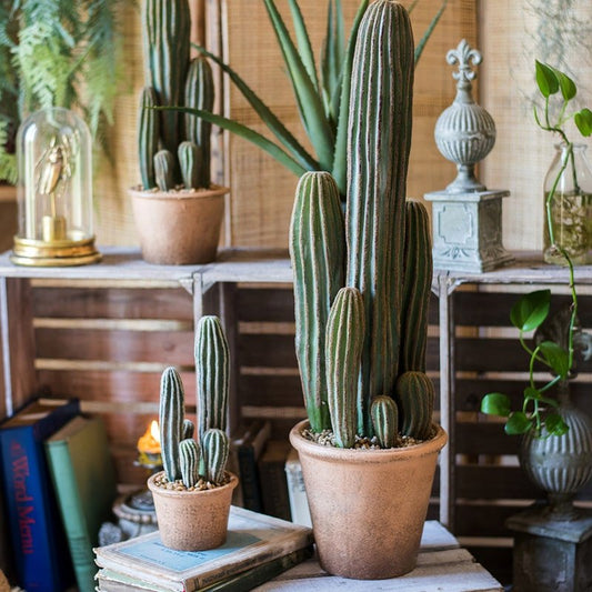 Artificial Faux Cactus in Brown Pot featuring green striped stems in two brown pots RusticReach on Tampa Home & Garden Store