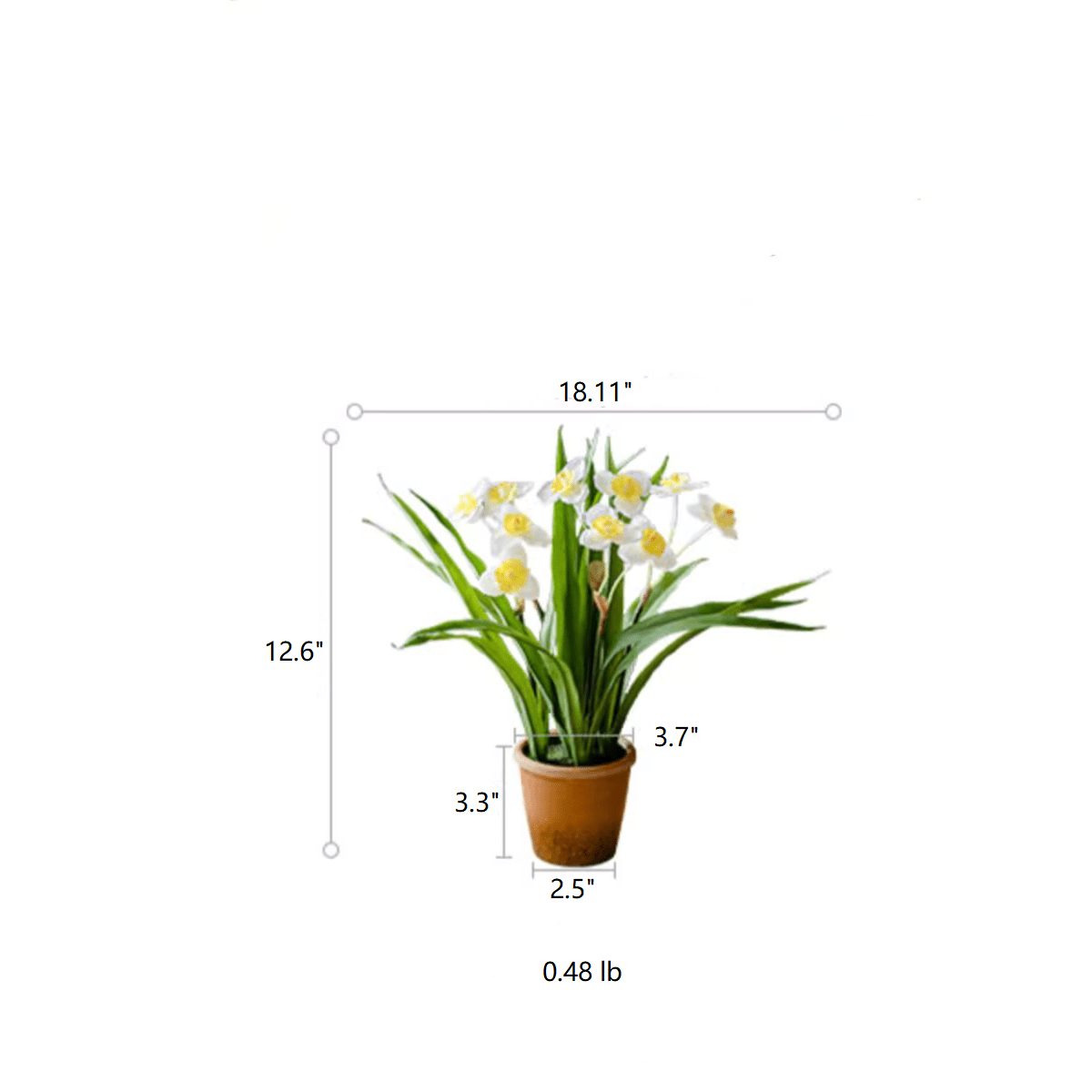 Faux Daffodil in Brown Pot by RusticReach with white petals, yellow centers, green leaves on Tampa Home & Garden Store