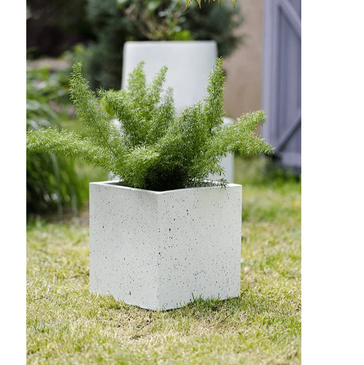 Modern White Planter Square RusticReach concrete finish with green fern outdoors on Tampa Home & Garden Store