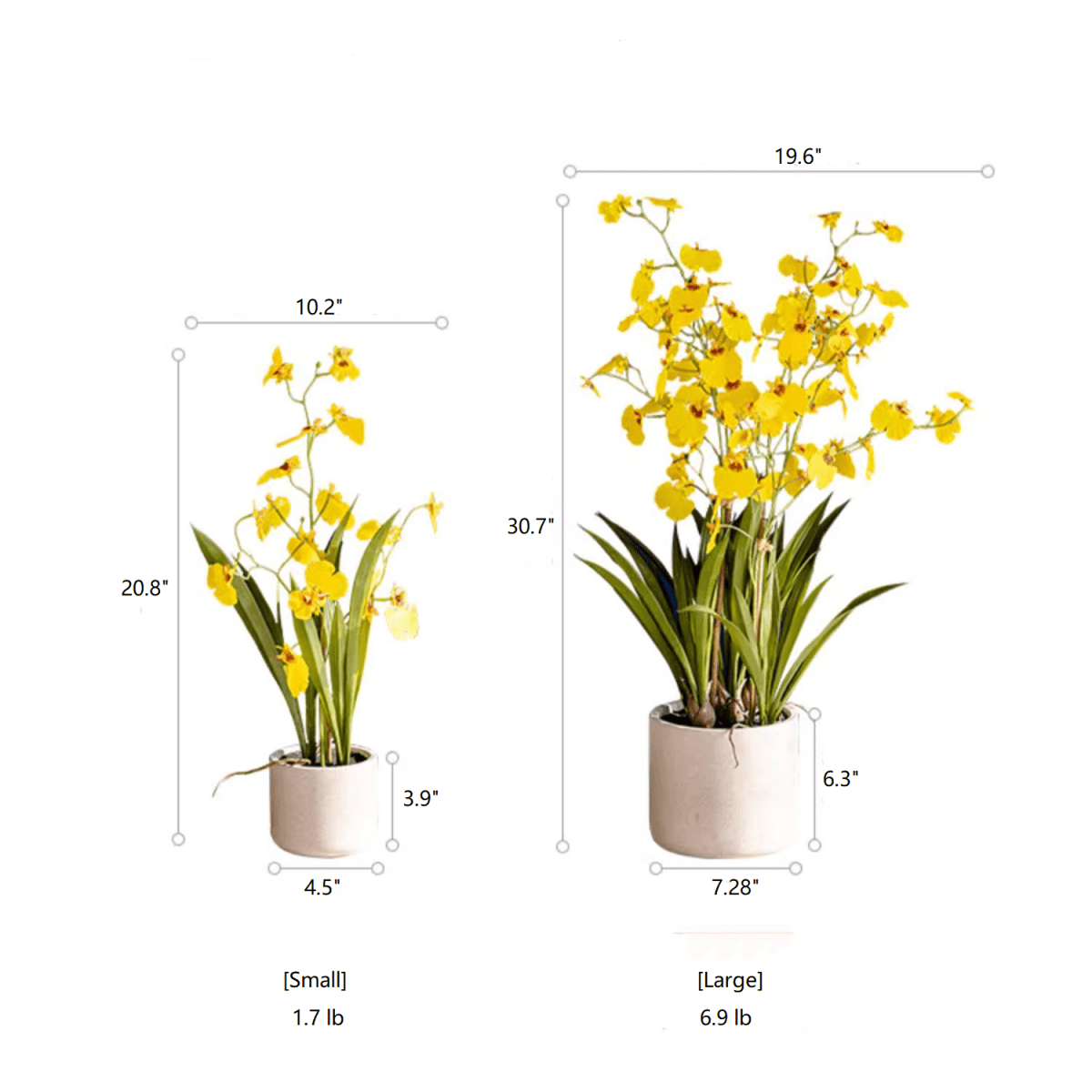 RusticReach Potted Faux Dancing Lady Orchid with yellow blooms in beige pot; two sizes on Tampa Home & Garden Store