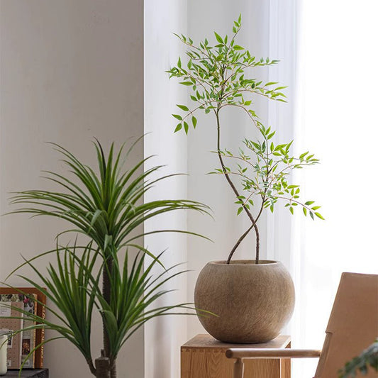 Round magnesium clay planter by RusticReach in earthy beige with a small leafy tree on Tampa Home & Garden Store