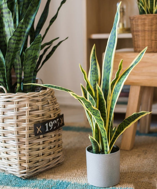 Faux snake plant in gray pot with yellow-edged variegated leaves by RusticReach on Tampa Home & Garden Store