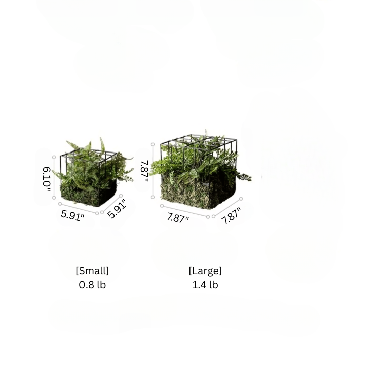 Woodland Cube Garden Accent small & large planters with metal frames and ferns RusticReach on Tampa Home & Garden Store