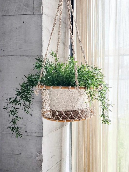 Jhuri Single Hanging Basket - Tampa Home & Garden Store