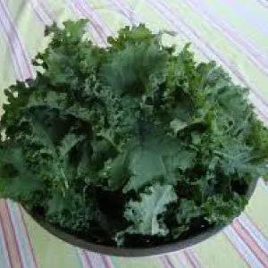Premier Kale greens, heirloom bulk kale leaves in a bowl on Tampa Home & Garden Store