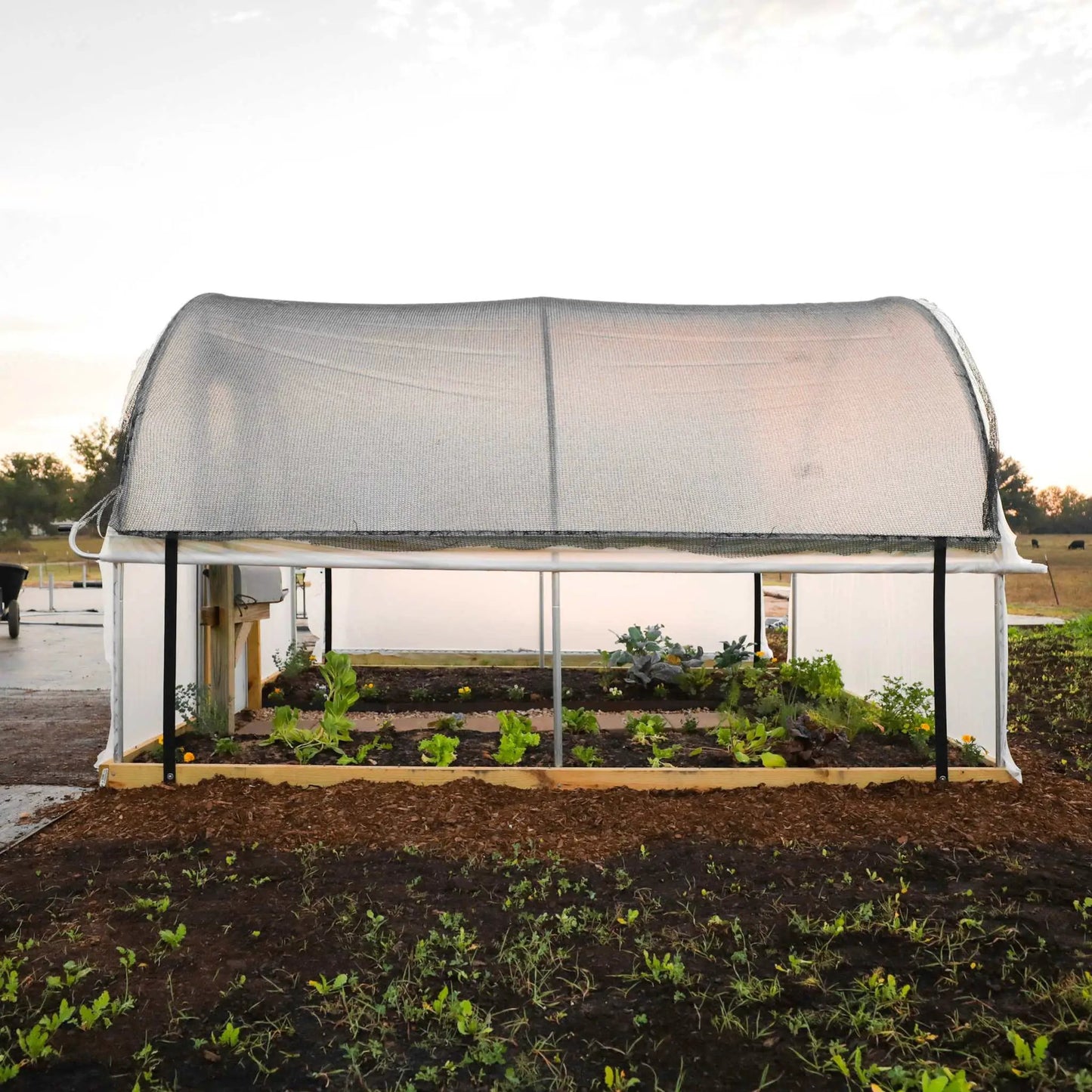 Roll-Up Side Kit for Hobby Greenhouse with gray mesh side panel by Bootstrap Farmer on Tampa Home & Garden Store