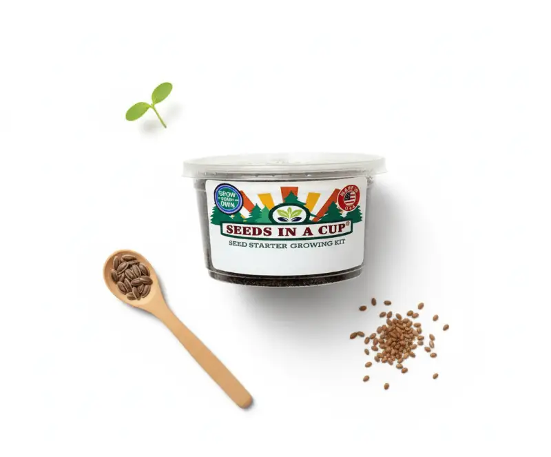Kale seed starter kit with cup, Seeds In A Cup brand, wooden spoon and scattered kale seeds on Tampa Home & Garden Store