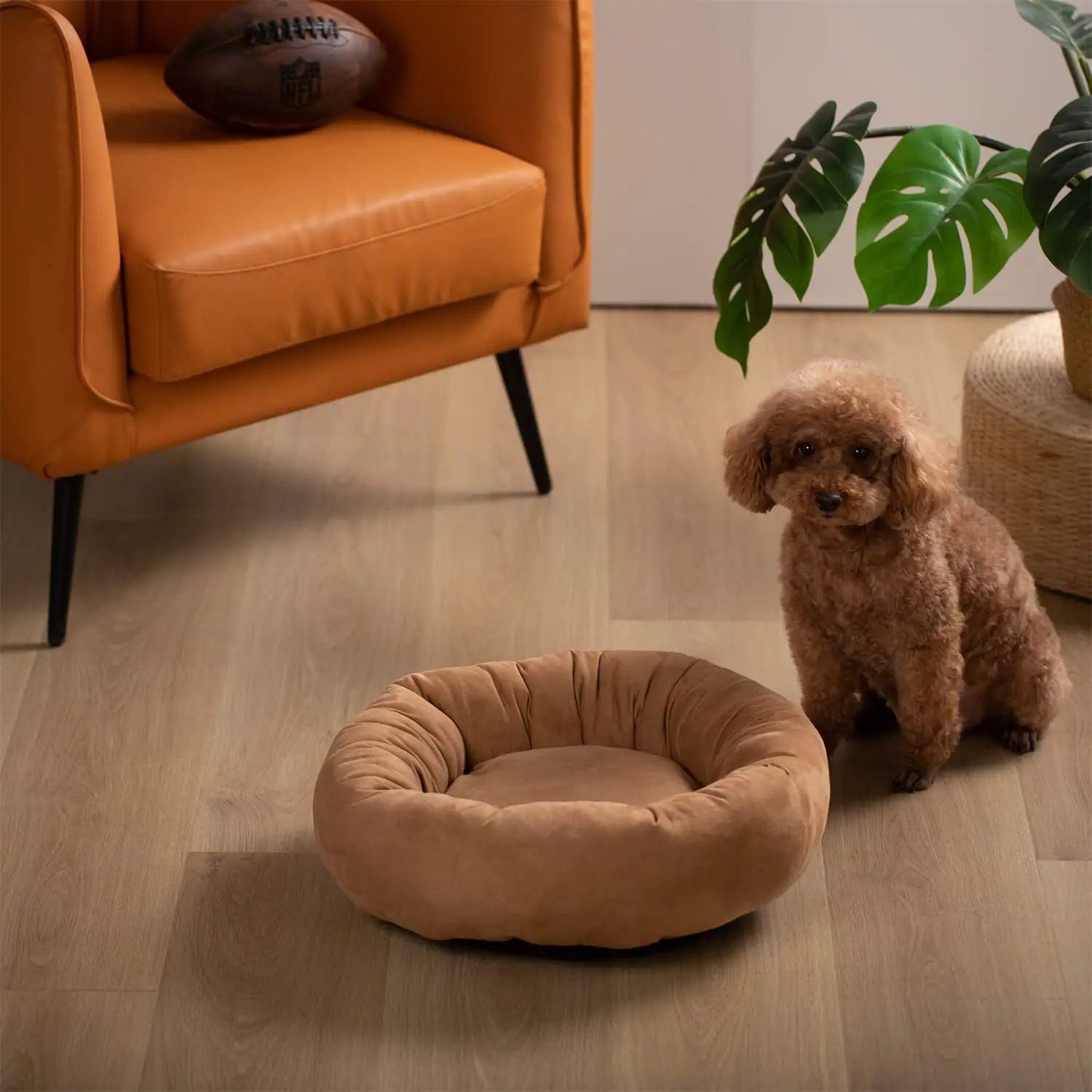 Donut design round dog bed in tan plush fabric with non slip base, near a small brown poodle on Tampa Home & Garden Store