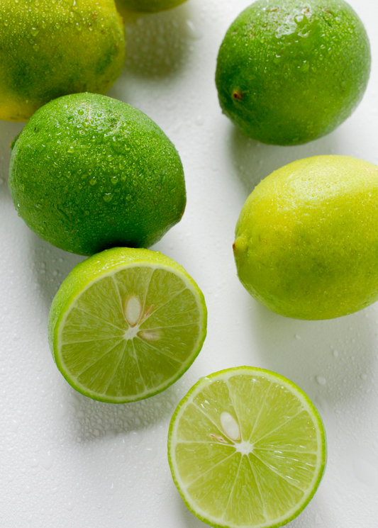 Key Lime Tree (Citrus × aurantiifolia) - Tampa Home & Garden Store