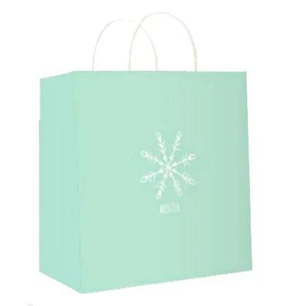 Kraft jumbo square gift bag mint green with white winter snowflake design on Tampa Home & Garden Store