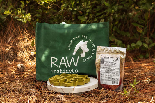 Raw Instincts Lamb and Sardines meal raw pet food packaging beside green branded tote bag on Tampa Home & Garden Store