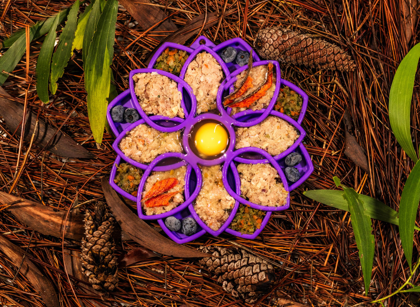 Raw Instincts Lamb and Sardines Meal with Veggies and Fruit, raw pet food in purple tray on Tampa Home & Garden Store