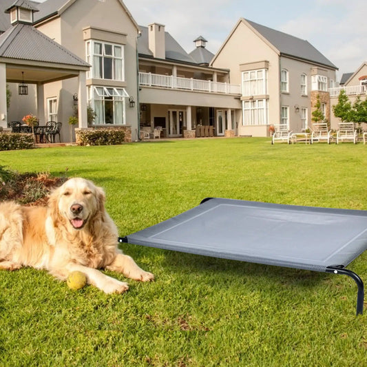 DirectDeals Large Indoor Outdoor Elevated Pet Cot Mat on steel frame with fabric dog on lawn on Tampa Home & Garden Store