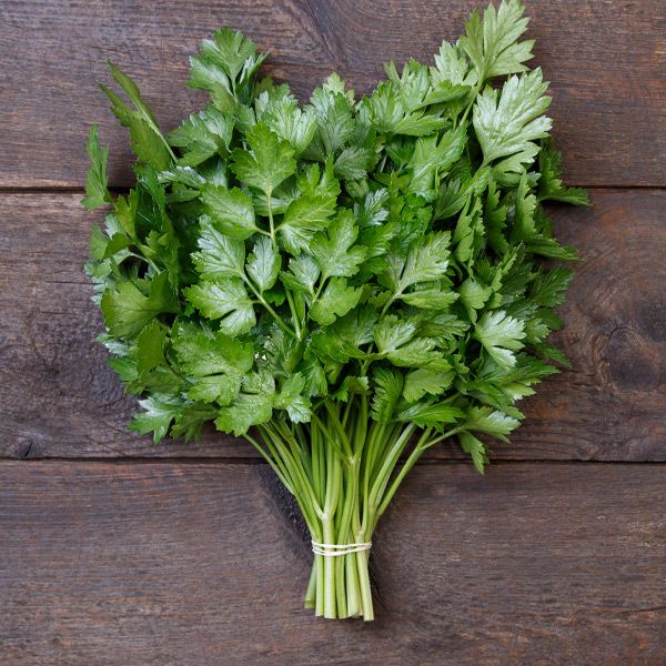 Parsley bundle with fresh green leaves and bundled stems on wooden surface on Tampa Home & Garden Store