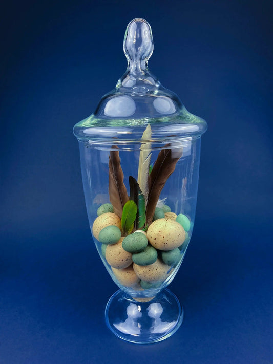 Lidded glass apothecary jar with pastel speckled eggs and feathers, Anything Discovered on Tampa Home & Garden Store