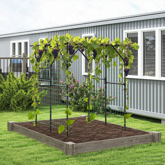 Large garden arch trellis for climbing plants, black metal arch supporting grapevines near a bed on Tampa Home & Garden Store