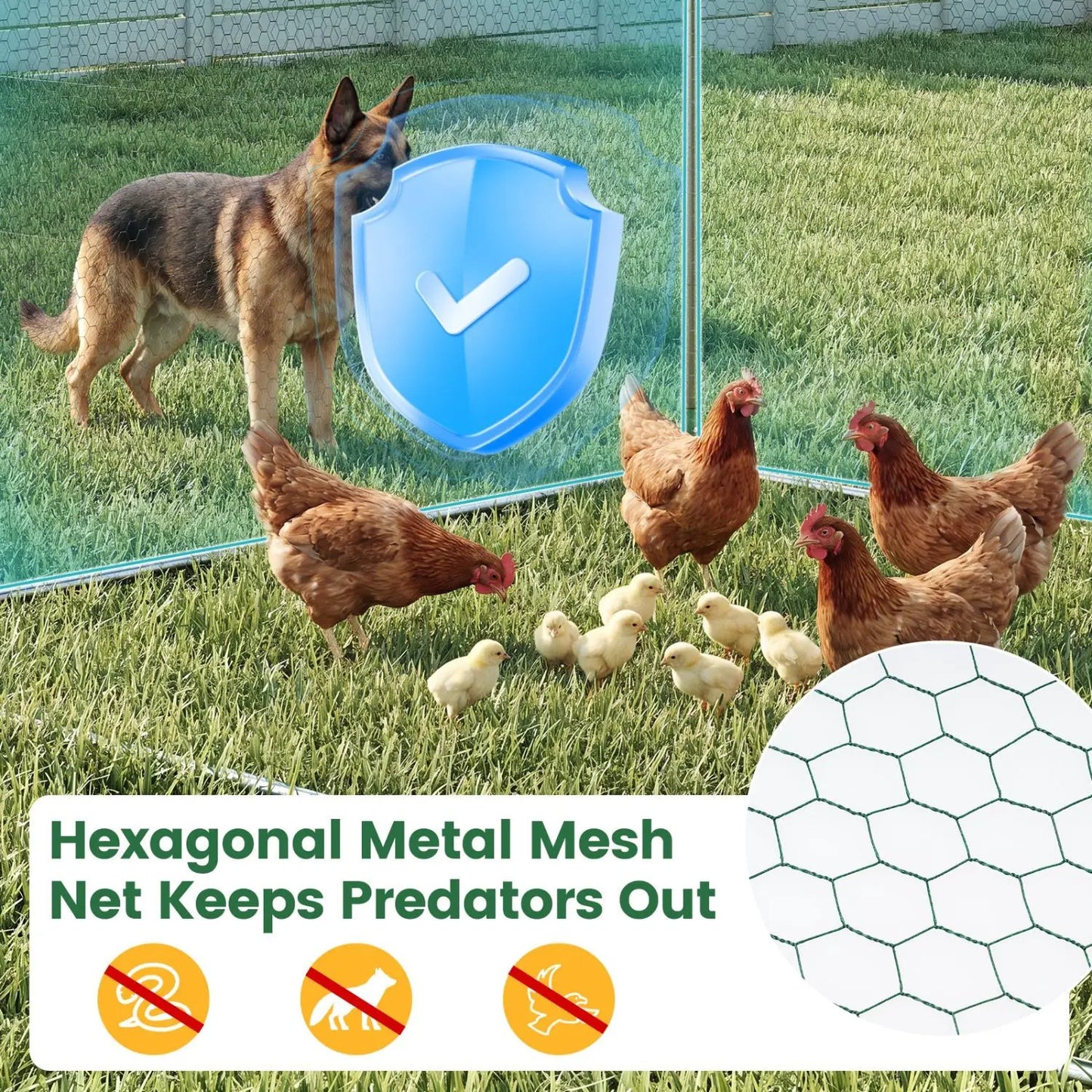 Large Metal Chicken Coop 9.8 by 6.7 ft with Cover