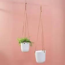 Two white ceramic hanging planters with green foliage, jute cords, 6 inch size on Tampa Home & Garden Store