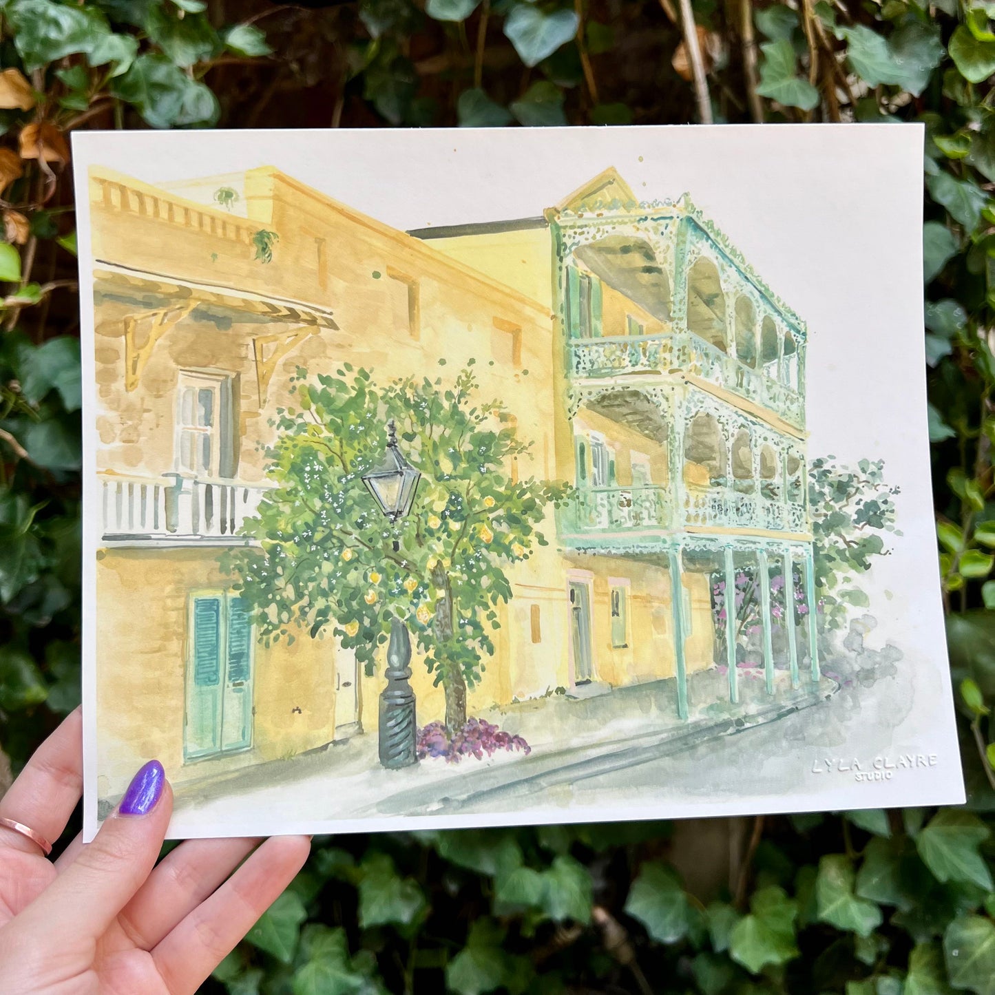 Lemonade - Tampa Home & Garden Store