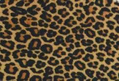 Cooler Limited Edition Leopard Series 12 Pack leopard-print exterior on Tampa Home & Garden Store