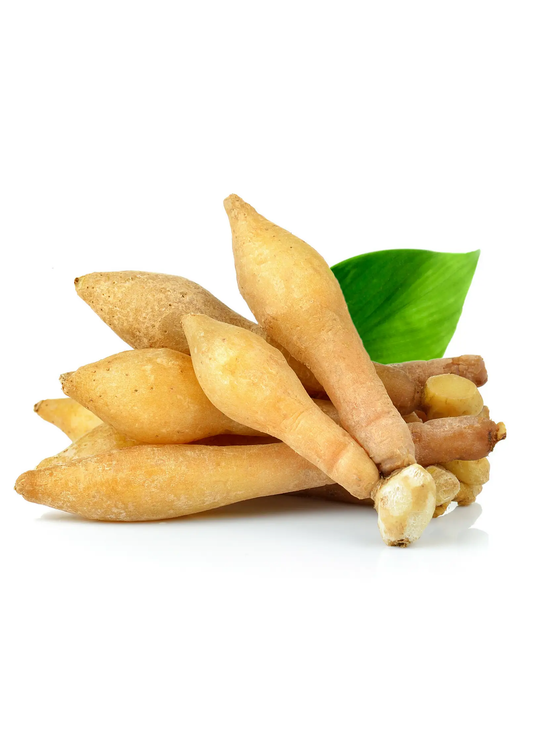 Lesser galangal roots, tan rhizomes with a green leaf, herb for culinary use on Tampa Home & Garden Store