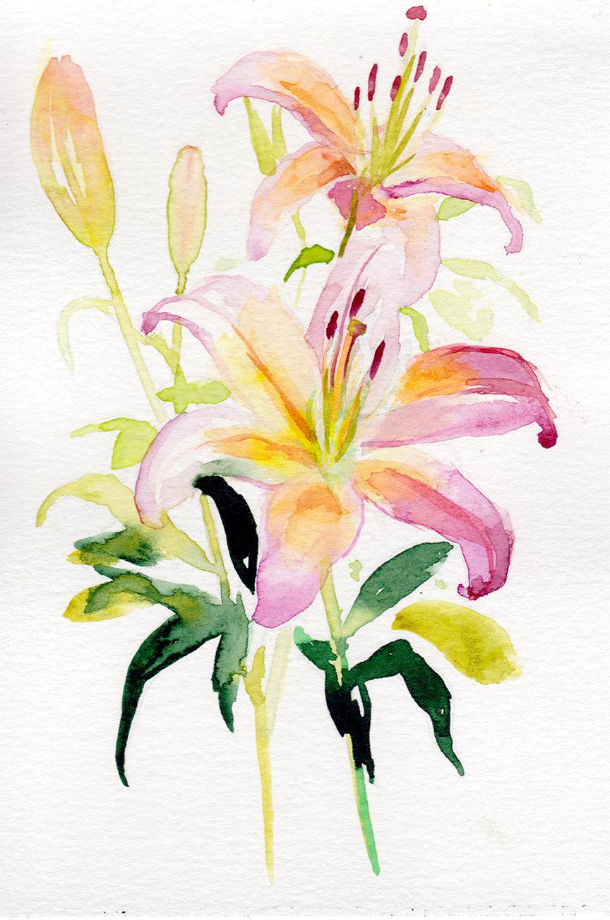 Lirio – Lámina artística de la flor de mayo