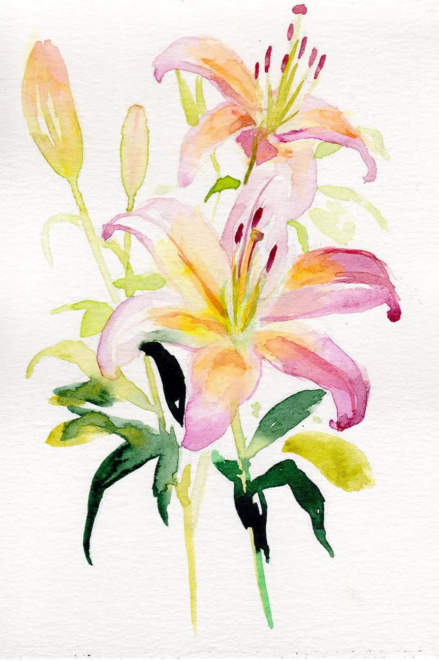 Lily – May Birth Flower Art Print - Tampa Home & Garden Store