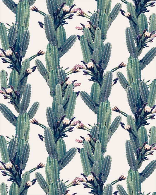 Wallpaper Los Cactus off-white floral repeating cactus pattern by Samantha Santana Creative on Tampa Home & Garden Store