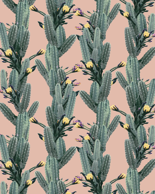 Peach los Cactus Floral Wallpaper with green cacti and yellow blossoms on peach on Tampa Home & Garden Store
