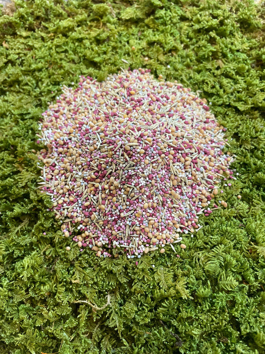 Low Grow™ No-Mow Lawn Mix – Clover & Low-Maintenance Grass Alternative - Tampa Home & Garden Store