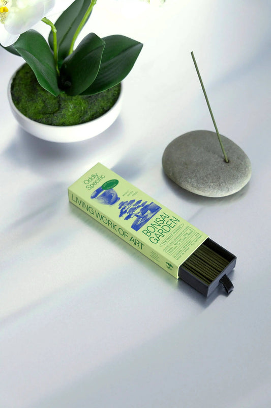 Low Smoke Incense Bonsai Garden by Terra Cotta Botanical Boutique in pale green packaging on Tampa Home & Garden Store