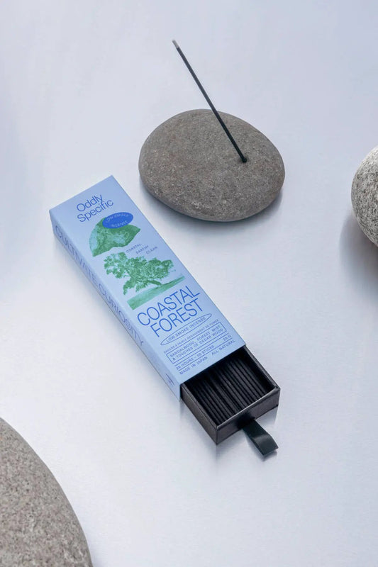 Sandalwood low-smoke incense sticks Forest Terra Cotta Botanical Boutique on Tampa Home & Garden Store
