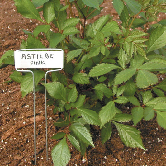 Luster Leaf Classic Impressions Garden 10" Plant Labels | Copper or Zinc 10 Pk. - Tampa Home & Garden Store