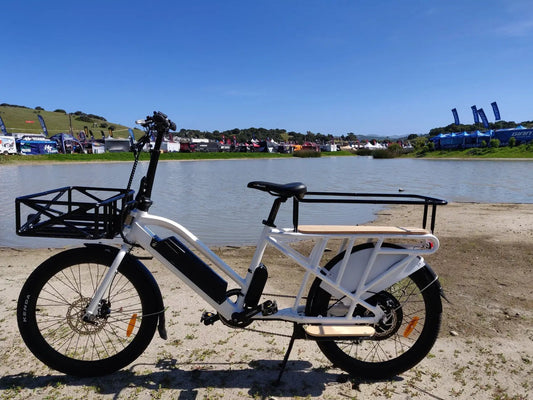Max Cargo 2.0 City Tire electric cargo bike with front basket and rear rack by EUNORAU on Tampa Home & Garden Store