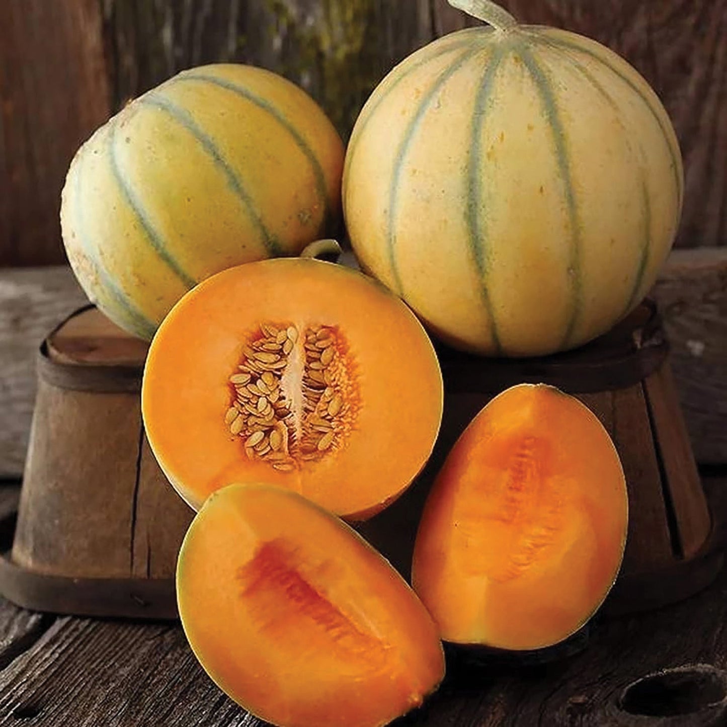 Charentais melon seeds Seedtime Store display pale yellow striped melons with orange flesh slices on Tampa Home & Garden Store
