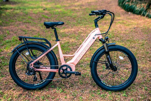 Electric bike Meta24 City 1.0 pink frame with black tires and rear rack by EUNORAU US on Tampa Home & Garden Store