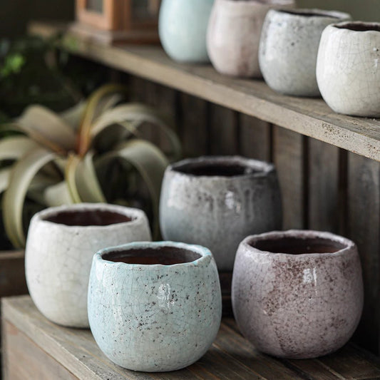 RusticReach Crackle Glazed Succulent Pot set of 5; pastel ceramic planters with crackle finish on Tampa Home & Garden Store
