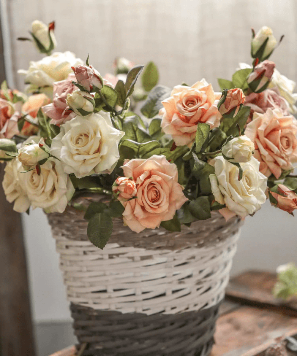 Rolled Edge American Rose stems 18in tall RusticReach peach ivory blooms in wicker basket on Tampa Home & Garden Store