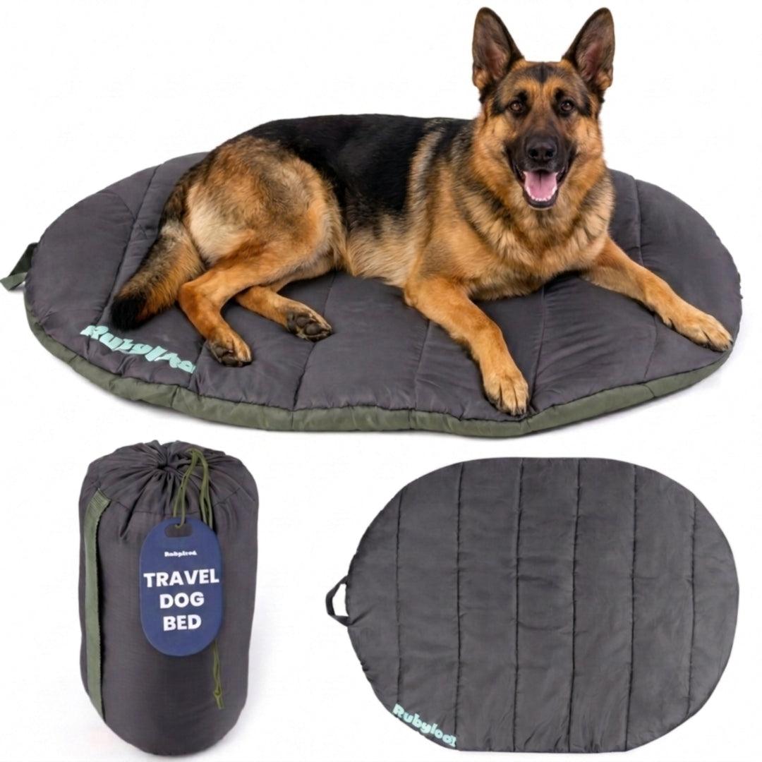 Travel Dog Bed by Rubyloo, foldable, packable pillow bed in dark gray with carrying bag on Tampa Home & Garden Store