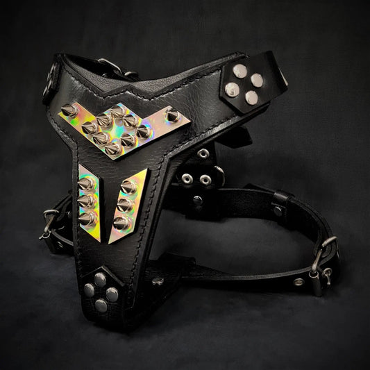 Midas leather dog harness silver, medium, Bestia Dog Gear with iridescent studded plates on Tampa Home & Garden Store