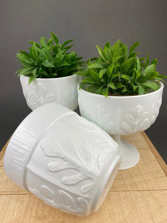 Milk Glass Oak Leaf Design Bowls. Set of Three Differently Shaped Vases. White Herb Planters. - Tampa Home & Garden Store