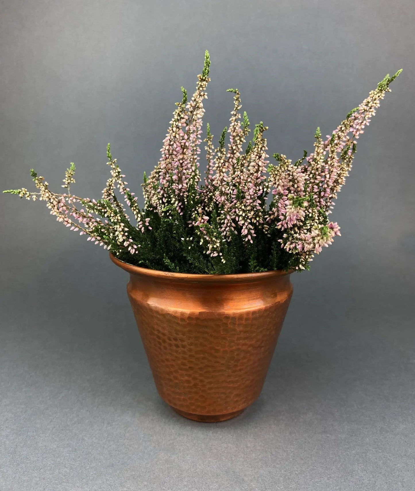 Terracotta hammered planter with pink heather stems in bloom against a gray backdrop on Tampa Home & Garden Store