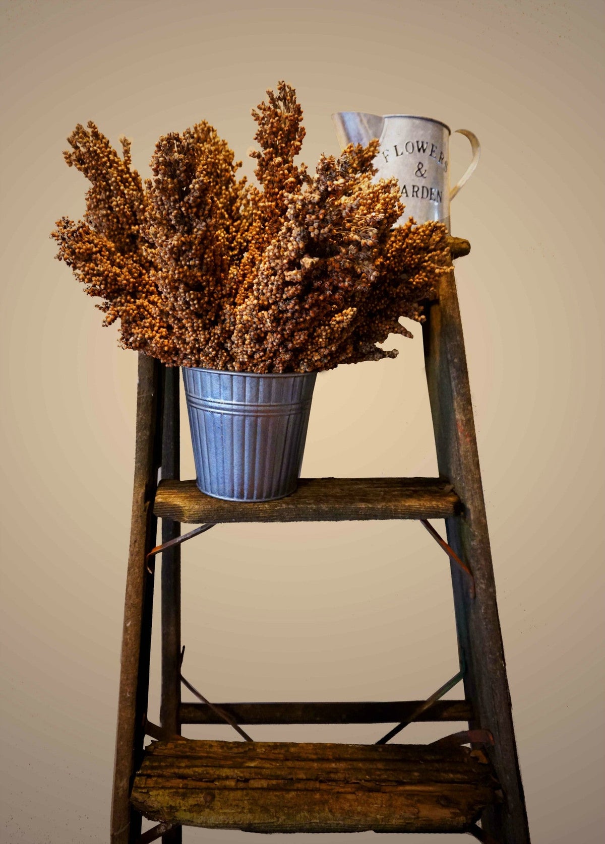 Thunder Acres grain sorghum seeds in a blue metal bucket on a rustic wooden ladder on Tampa Home & Garden Store