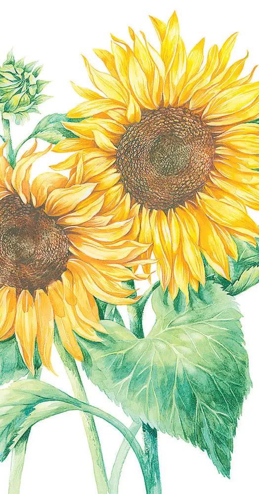 Mirasol White Sunflower cocktail napkins, 20 pack, The Country Christmas Loft on Tampa Home & Garden Store
