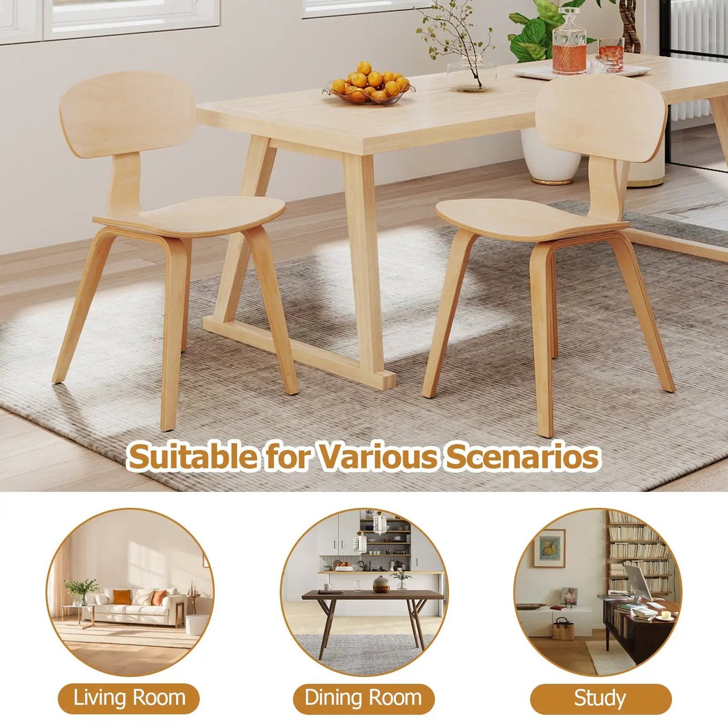 Modern Dining Chair Set of 2 with Wide Seat in natural wood DirectDeals on Tampa Home & Garden Store