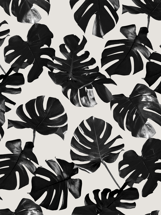 Monstera Leaf Wallpaper black and off white tropical leaf pattern on Tampa Home & Garden Store