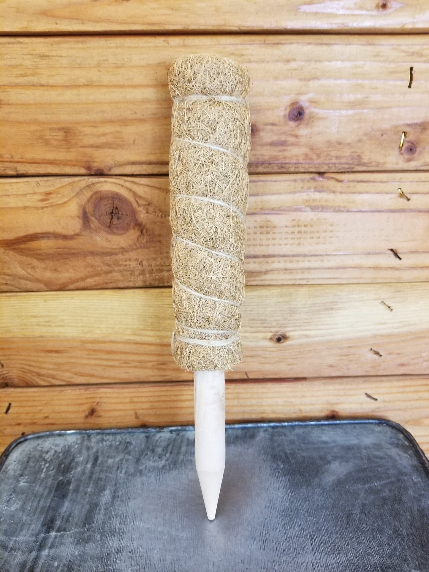 Small moss pole for climbing plants, natural coco fiber wrap, twine binding on Tampa Home & Garden Store