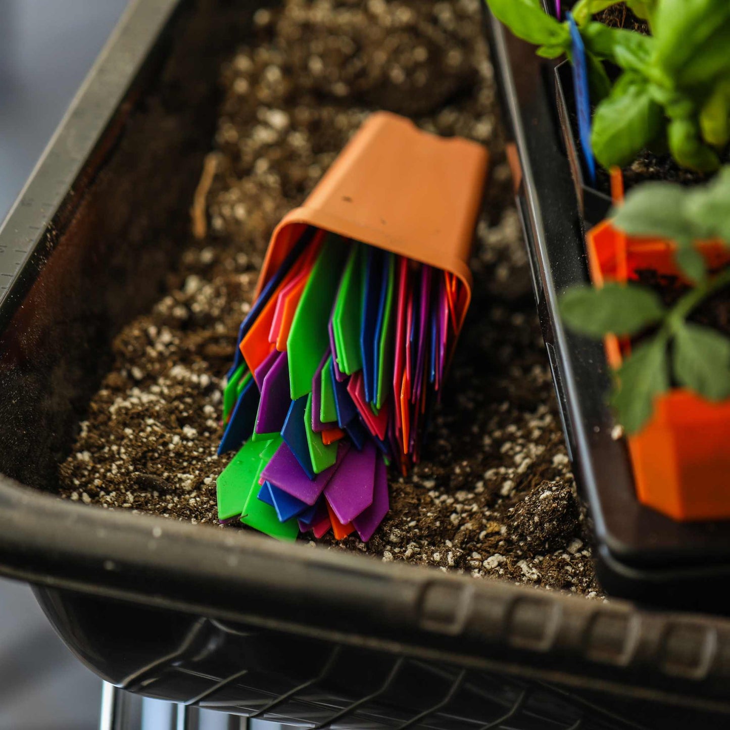 Multi-color Plant Labels | 100 count - Tampa Home & Garden Store