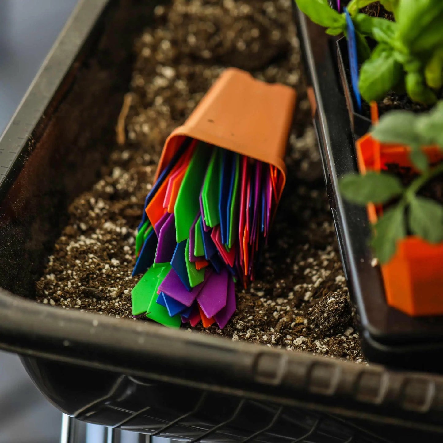 Colorful plastic plant labels for garden, 100 count on Tampa Home & Garden Store