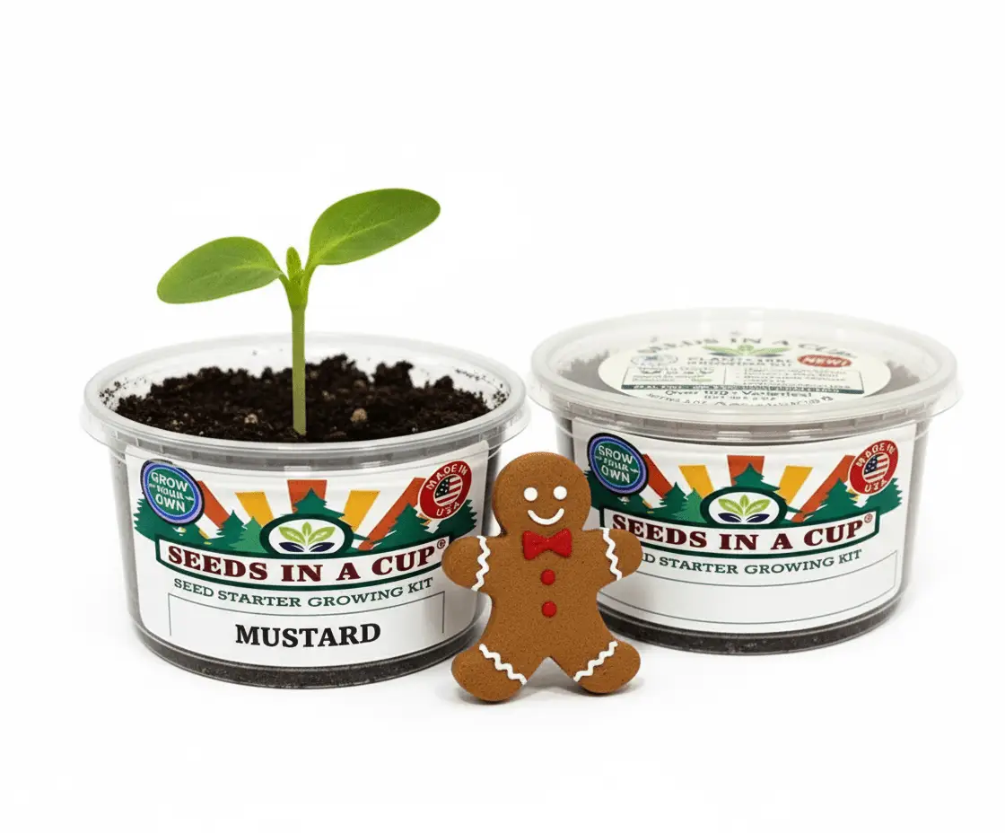 Mustard Greens Seed Starter Kit in two clear cups with a sprouting seedling Seeds In A Cup on Tampa Home & Garden Store